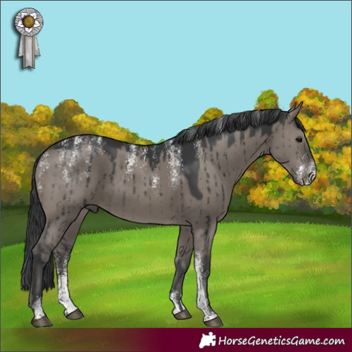 Horse Color:Powder White Grullo Brindle