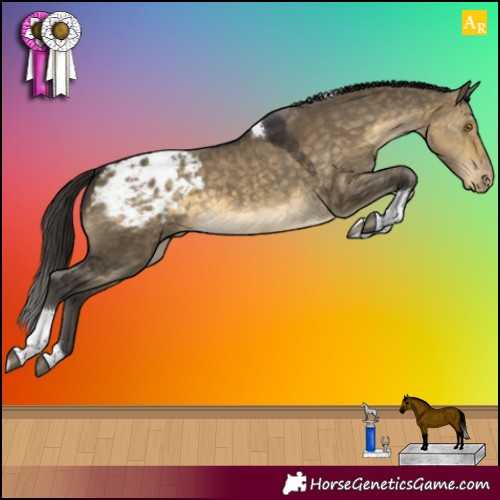 Horse Color:Buckskin Dun Tobiano Blanket