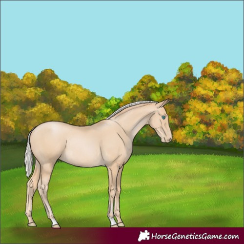 Horse Color:Silver Smoky Black Pearl Rabicano 