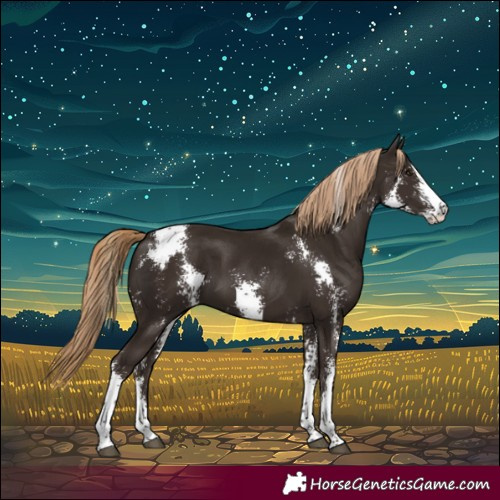 Horse Color:Liver Chestnut Sabino