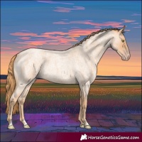 Horse Color:Gold Champagne Roan Rabicano