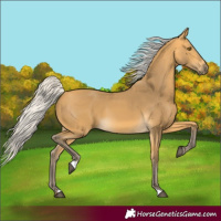 Horse Color:Silver Buckskin 