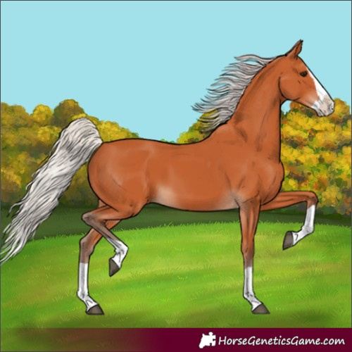 Horse Color:Silver Bay Splash 
