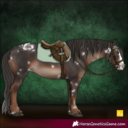 Horse Color:White Spotted Liver Chestnut Splash Varnish