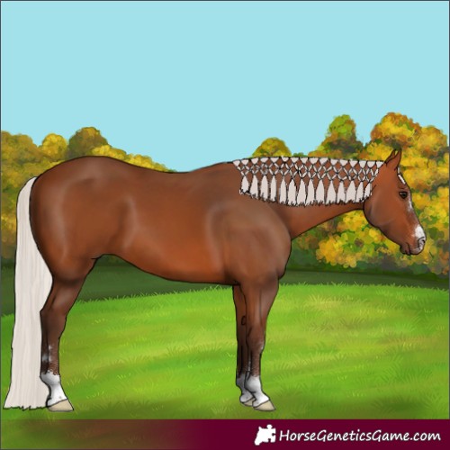 Horse Color:Silver Bay 
