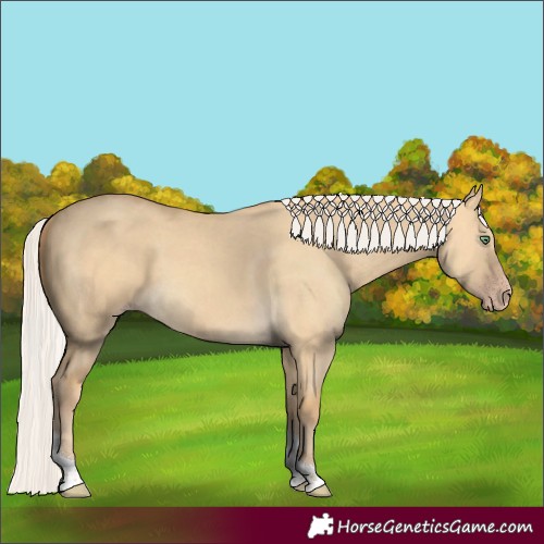 Horse Color:Silver Amber Cream Champagne Dun Tobiano