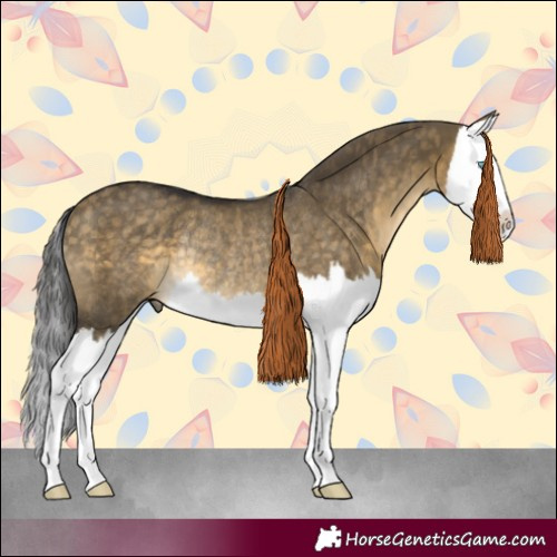 Horse Color:Buckskin Dun Splash Rabicano