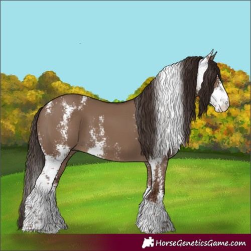 Horse Color:Liver Red Dun Sabino