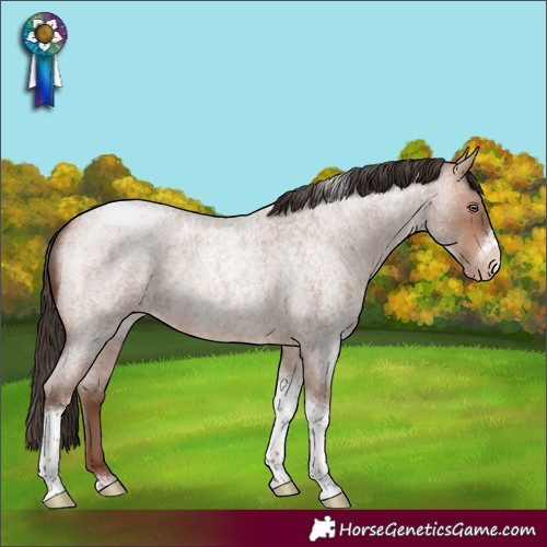 Horse Color:Sable Champagne Roan Tobiano Frame 