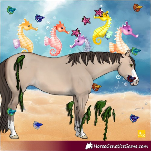 Horse Color:Unknown 