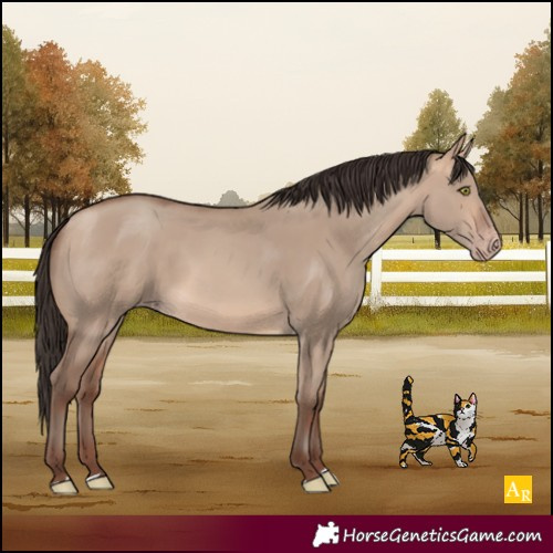 Horse Color:Amber Champagne Dun 