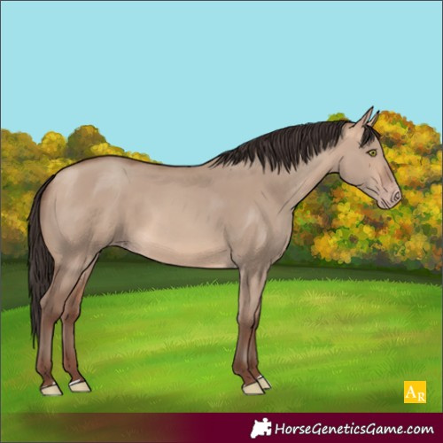 Horse Color:Amber Champagne Dun 
