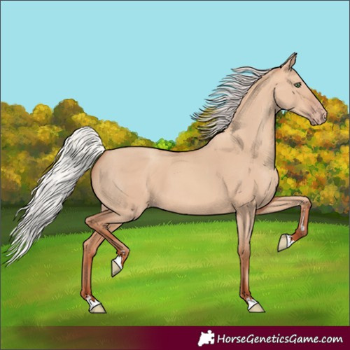 Horse Color:Silver Amber Champagne Dun 