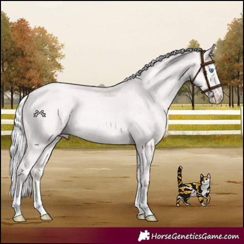 Horse Color:Silver Smoky Creme