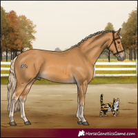Horse Color:Palomino