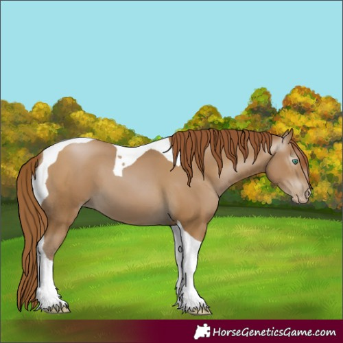 Horse Color:Gray Smoky Black Pearl Tobiano 