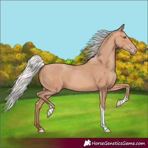 Horse Color:Silver Amber Champagne Tobiano