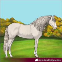 Horse Color:Smoky Creme