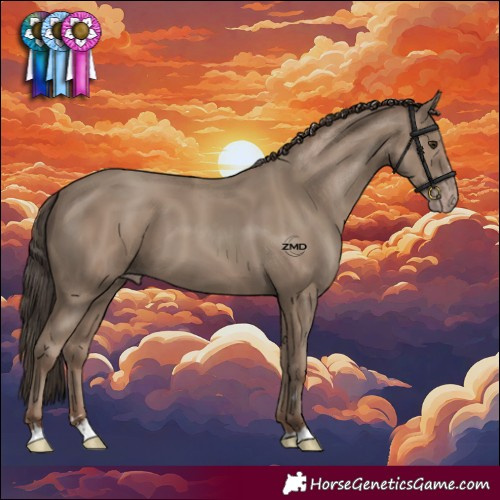 Horse Color:Classic Champagne 