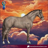 Horse Color:Classic Champagne 