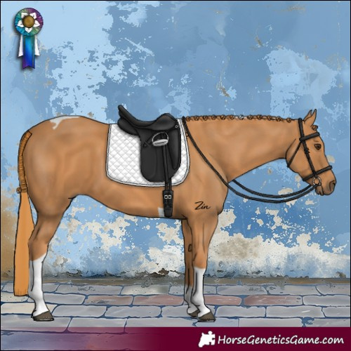 Horse Color:Chestnut Tobiano 