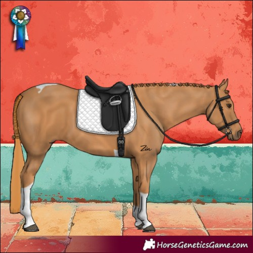 Horse Color:Chestnut Tobiano 