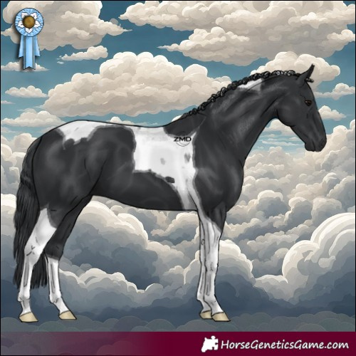 Horse Color:Black Tobiano