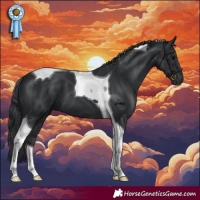 Horse Color:Black Tobiano 