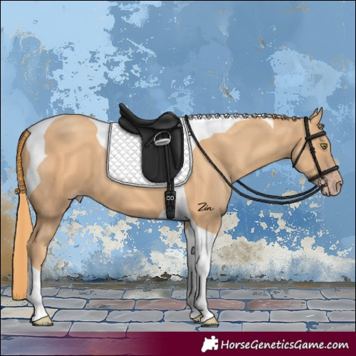Horse Color:Gold Champagne Tobiano 