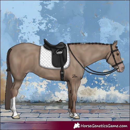 Horse Color:Classic Champagne Tobiano 