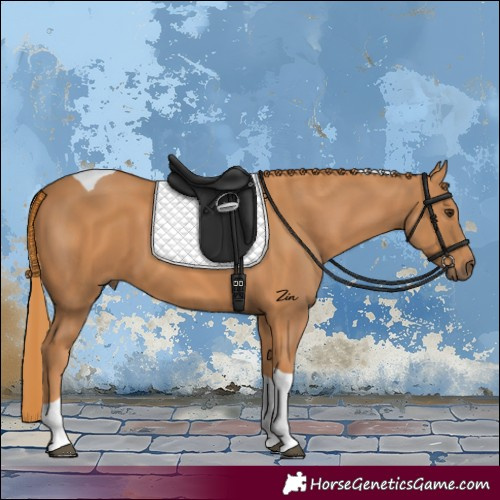 Horse Color:Chestnut Tobiano