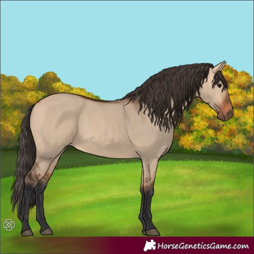 Horse Color:Bay Dun