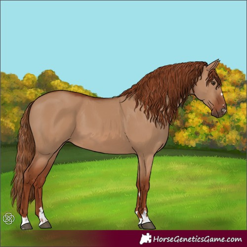 Horse Color:Red Dun