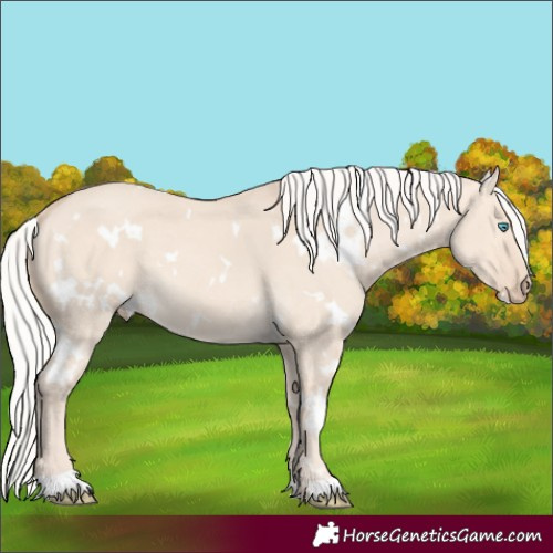 Horse Color:White Spotted Silver Perlino Dun