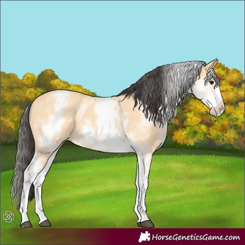 Horse Color:White Spotted Buckskin 