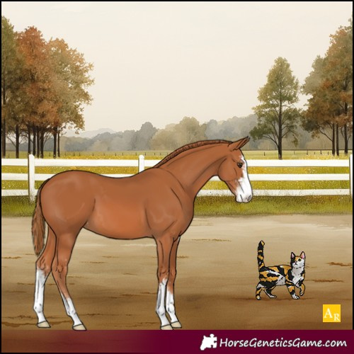 Horse Color:Chestnut Sabino