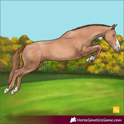 Horse Color:Gold Champagne Splash 