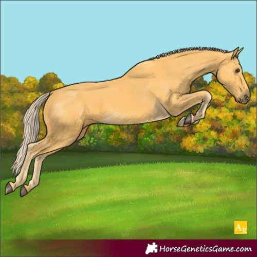 Horse Color:Palomino 
