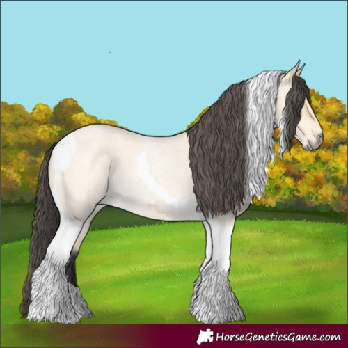 Horse Color:Buckskin Roan Dun Tobiano