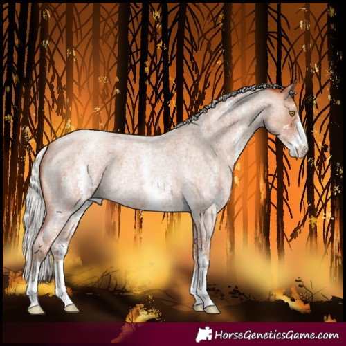 Horse Color:Silver Sable Champagne Roan Sabino 