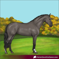Horse Color:Smoky Grullo