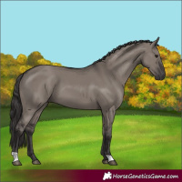 Horse Color:Smoky Grullo