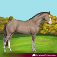 Horse Color:Classic Champagne Splash 