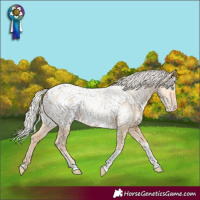 Horse Color:Silver Amber Champagne Pearl Dun Tobiano Blanket Rabicano  and Silver Amber Champagne Pearl Dun Tobiano Blanket Rabicano 