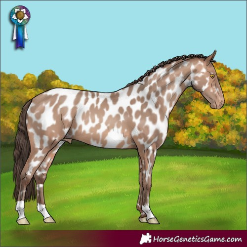 Horse Color:Amber Champagne Near Leopard 