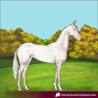 Horse Color:Silver Amber Champagne Pearl Dun Tobiano Blanket Rabicano  and Silver Amber Champagne Pearl Dun Tobiano Blanket Rabicano 