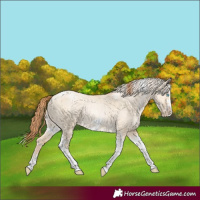 Horse Color:Buckskin Pearl Dun Tobiano Frame and Palomino Pearl Dun Tobiano Frame