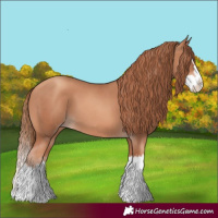 Horse Color:Gold Champagne Splash 