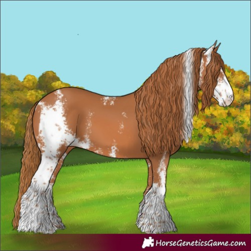 Horse Color:Chestnut Sabino