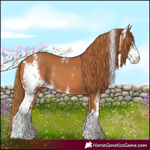 Horse Color:Chestnut Sabino 